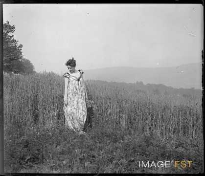 Femme au milieu d'un champ de roseaux (Liverdun)